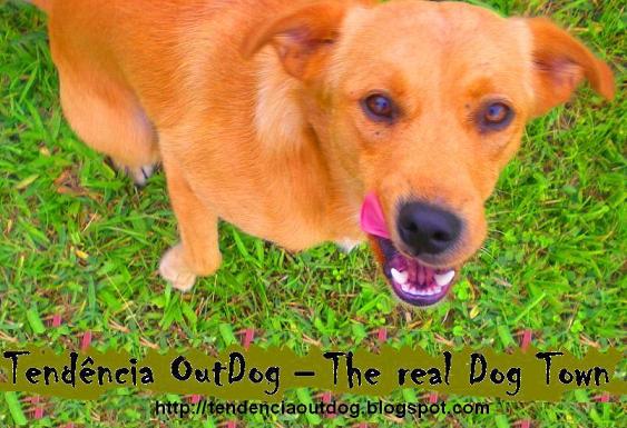 TENDÊNCIA OUTDOG