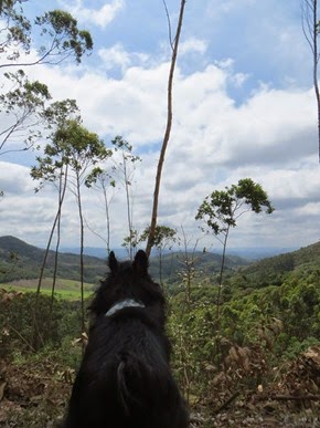 Trekking 12 (100_1) (1)