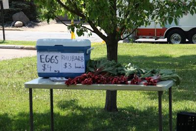 Chisago City Farmers Market - rhubarb and eggs