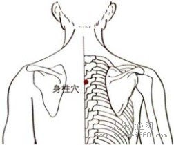 背部穴道圖身柱- 背部穴道督脈身柱 | Source:http://m.xuewei360.com/rentixuewei/jingluoxuewei/2012-04-24/811_2.html