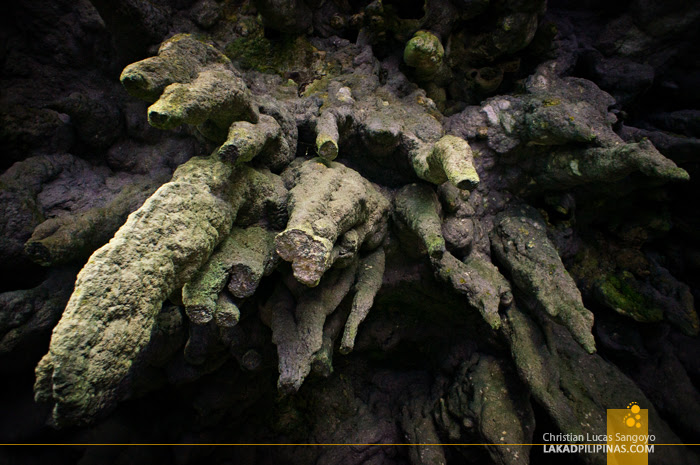 Massive Stalactites at Dumalag's Lahab Cave