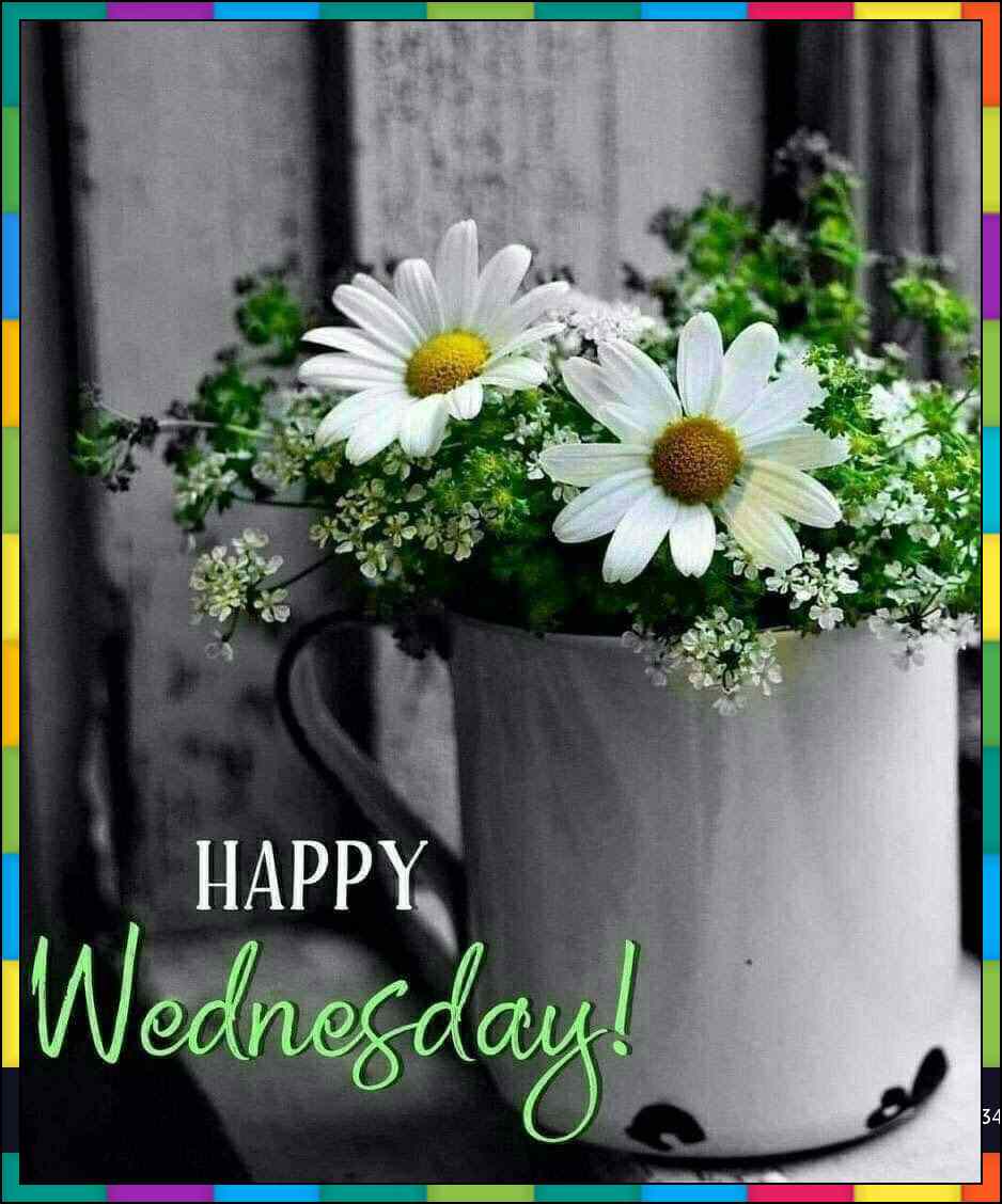 beautiful good morning wednesday
