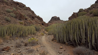 Dentro un barranco