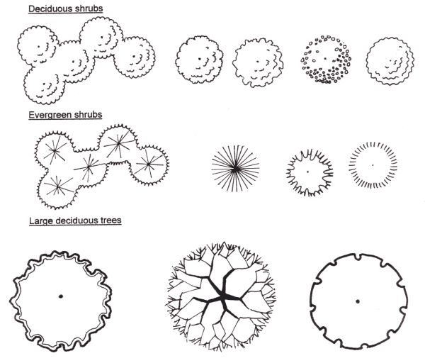 Landscape Design Symbols Trees