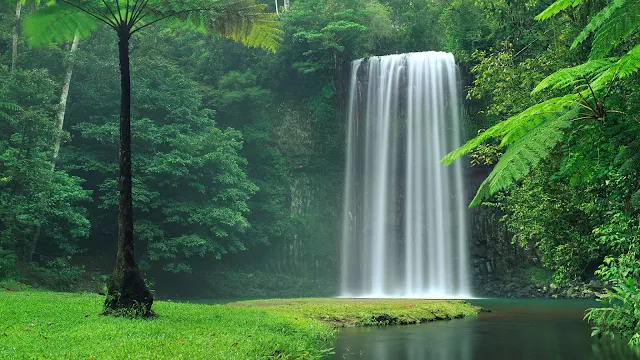 Paisagem Natural com Cachoeira