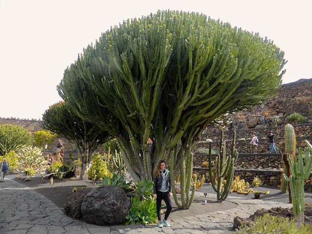 Lanzarote-Jardin-de-Cactus