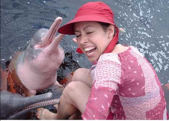 pink_animals_8a