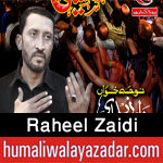 www.humaliwalayazadar.com/2016/10/raheel-zaidi-nohay-2017.html