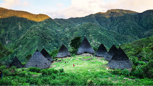 Wae Rebo: Surga Desa Adat di Atas Awan, Panduan Lengkap Wisata