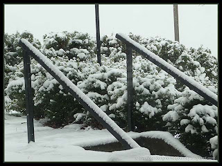 morning snow in April