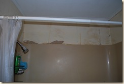 master bath redo 006