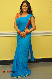 Telugu Actress Vaibhavi Stills in Blue Saree at Www.Meena Bazaar Movie Opening  0099.JPG