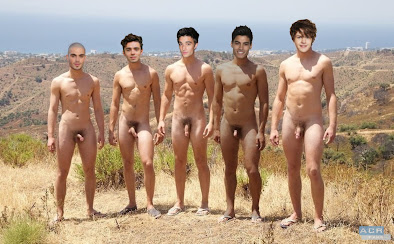 The Wanted Flashing, The Wanted Gay