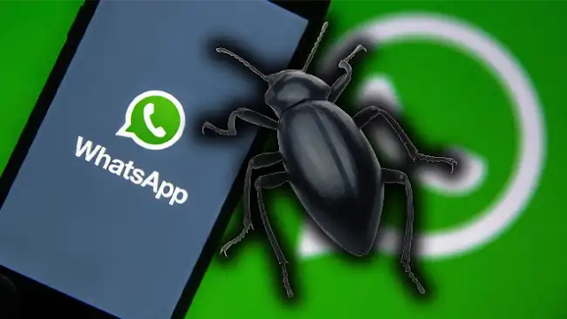 WhatsApp security, what do we do with the bugs?