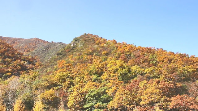 我深切地感受到大山靜靜地履行著造物主賦予的職責——守護山腳下的人們。可是，當我們享受這寧靜祥和的生活時，誰又曾想到，這一切都源於造物主的安排、供應和對我們的愛！