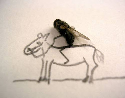 horse, horse riding, funny horse, horse art