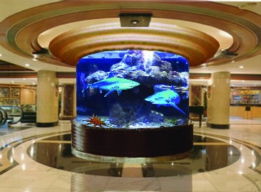 Tropical Fishes and Aquarium Supplies