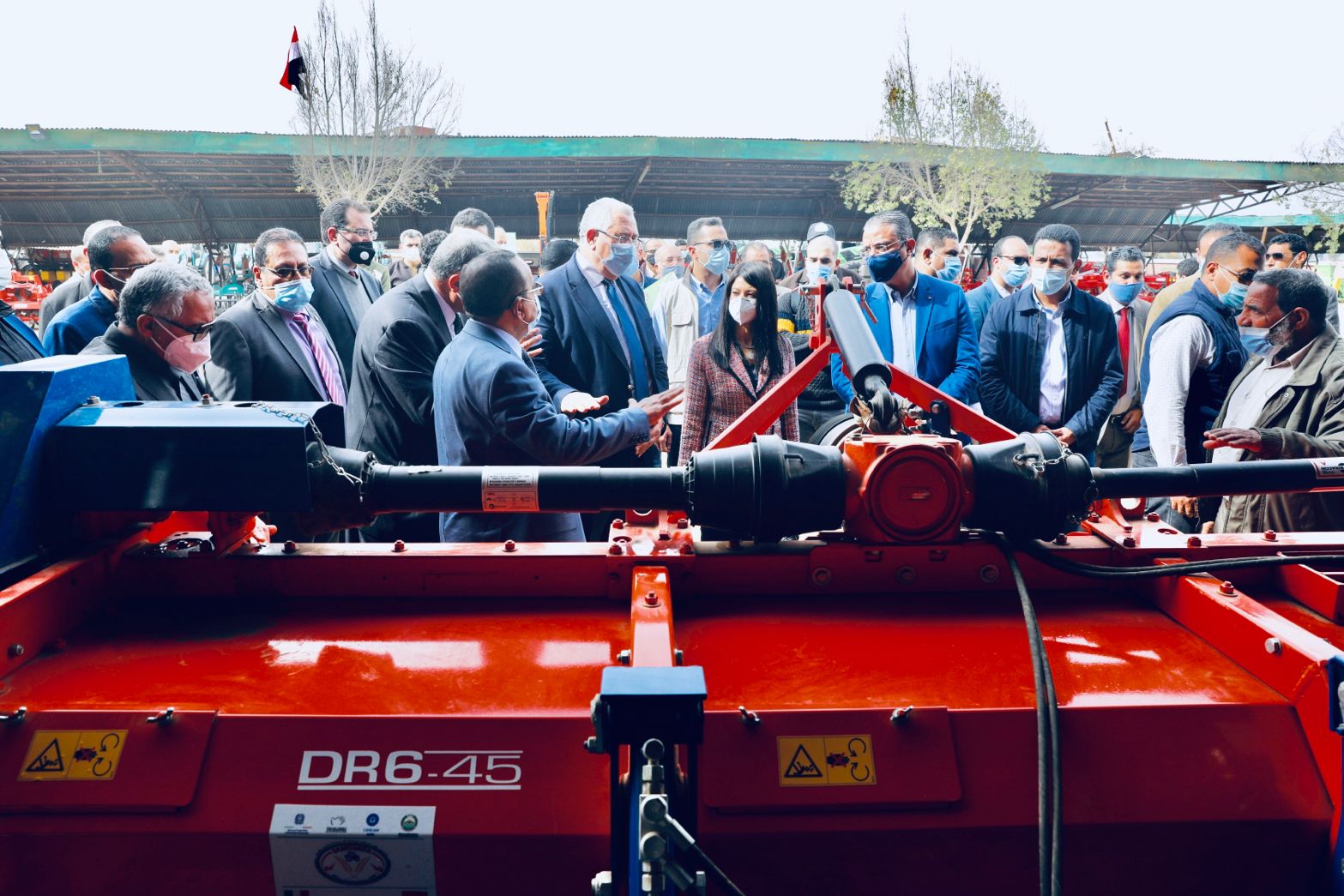 #𝗘𝗴𝘆𝗽𝘁’𝘀 𝗙𝗮𝘆𝗼𝘂𝗺, 𝗮 𝗴𝗿𝗲𝗲𝗻 𝗼𝗮𝘀𝗶𝘀 𝗶𝗻 𝘁𝗵𝗲 𝘄𝗲𝘀𝘁𝗲𝗿𝗻 𝗱𝗲𝘀𝗲𝗿𝘁. Journeying through today, you not only see green but you can smell the scent of green.