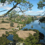 View album