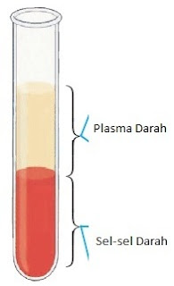 Komponen darah tabung reaksi