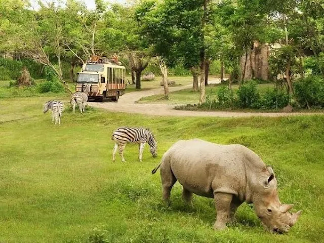 Bali Safari & Marine Park