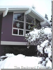 snow flake craft 01