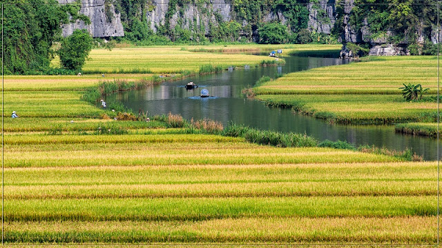 Tam Coc - paradise on earth with beautiful scenery throughout 4 seasons of the year