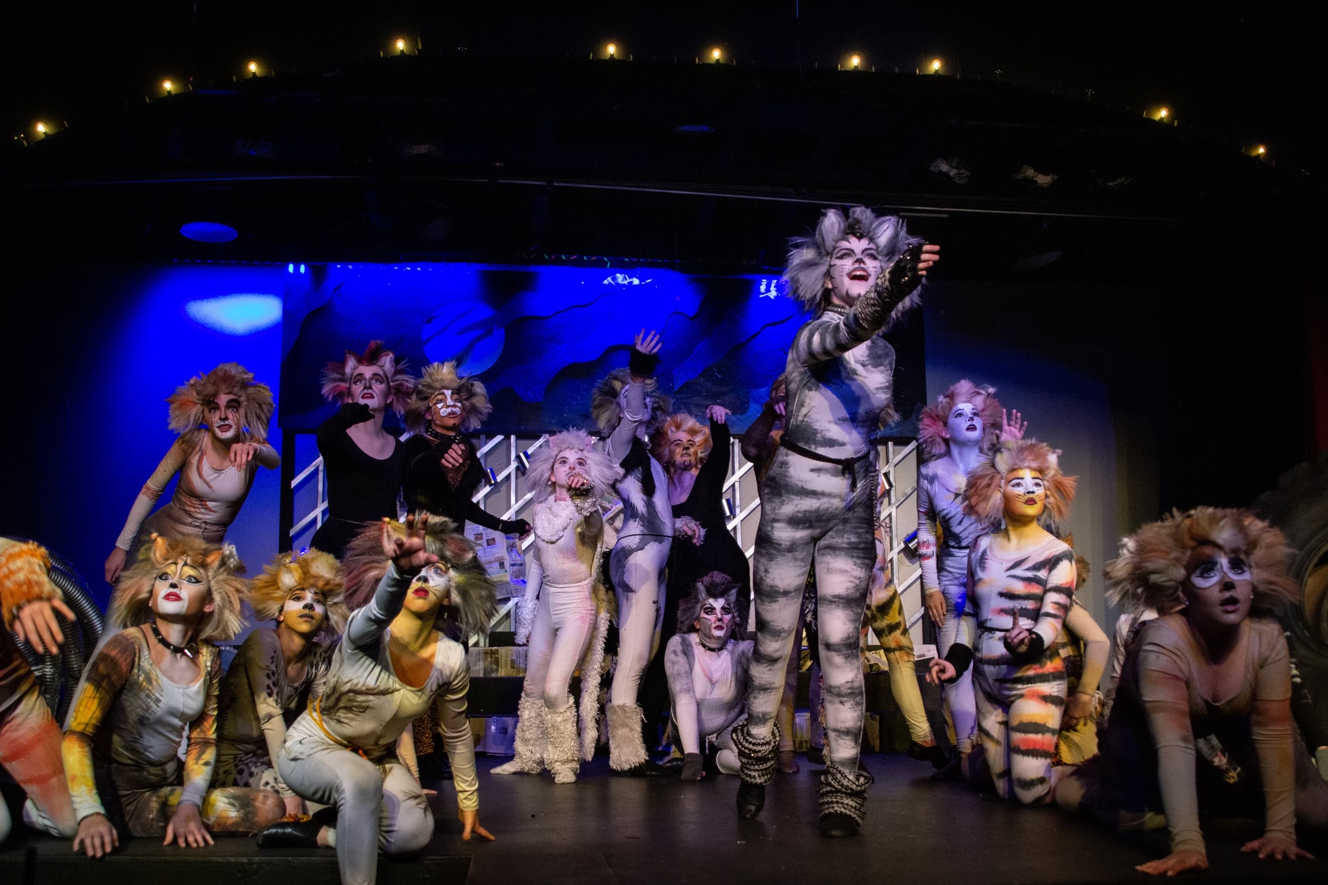Cats Theatre 