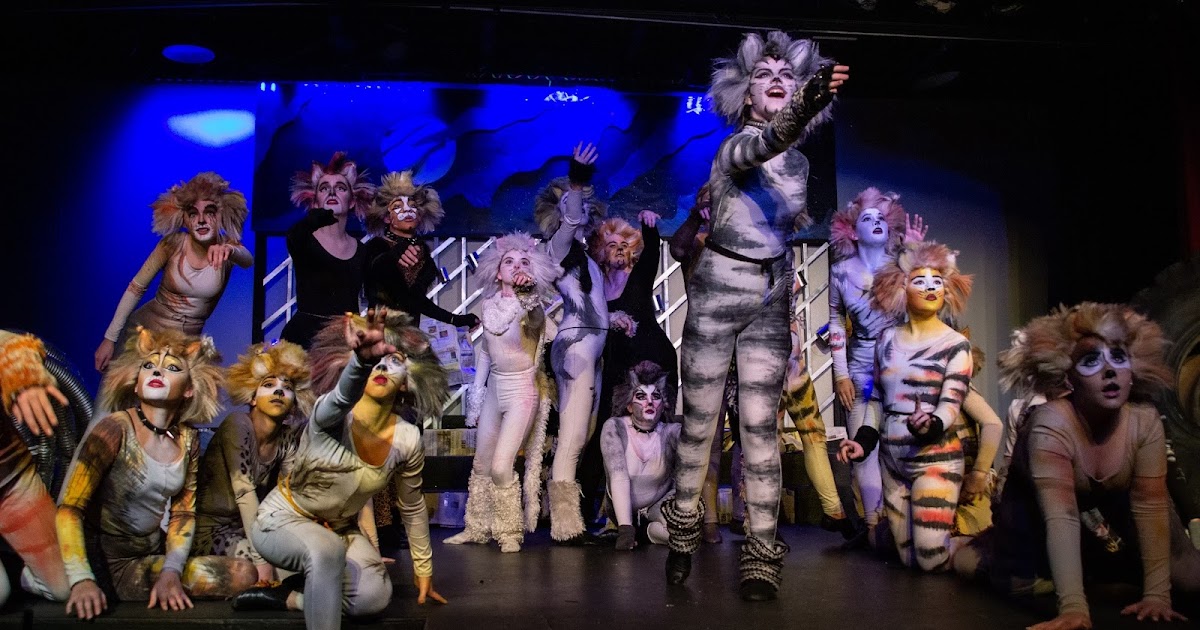 Pensacola Little Theatre will bring famous 'Cats' musical to life