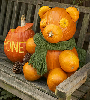 funny animal pumpkin without carving