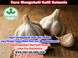 Obat Kutil Kelamin