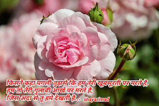 Rose day shayari in hindi