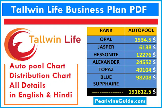 tallwin life business plan auto pool plan pdf