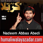 https://aliwalayazadar.blogspot.com/2020/08/nadeem-abbas-abedi-nohay-2021.html