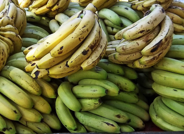 stock photo of bananas