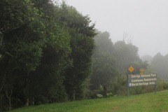 2011.03.29 at 10h56m00s Dorrigo