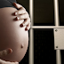 Pregnant Woman Charged with Murder Claims Unborn Baby's Innocence and Requests Release from Prison