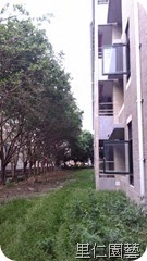 IMAG6523
