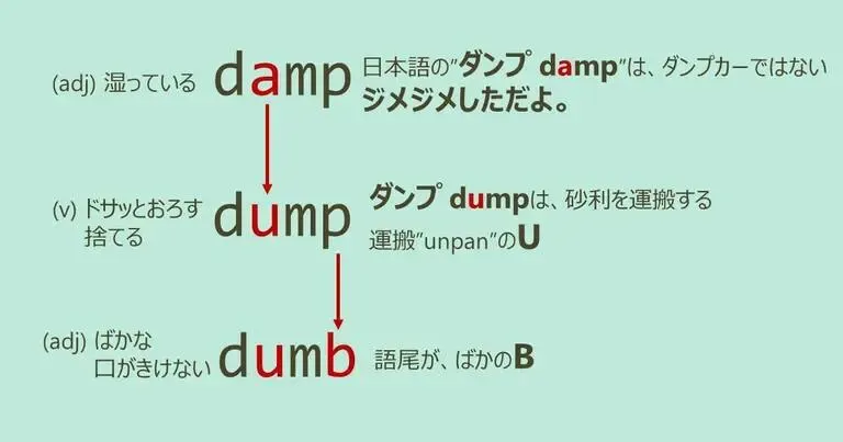damp, dump, dumb, スペルが似ている英単語