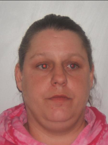 Wellsville Regional News Dot Com Wellsville Woman Arrested For Cocaine Possession