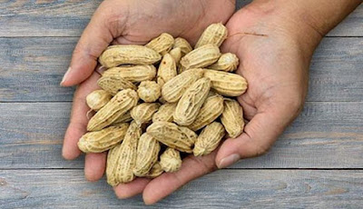 Segudang Nutrisi Kacang Tanah yang Menyehatkan