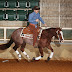 Dominicano Fautly Garrido es campeón de Reining en USA