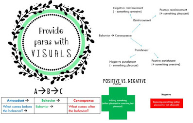 Training Special Education Paraprofessionals