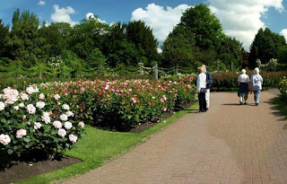 Queen Mary's Garden, Regent's Park 