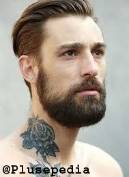 Men-beard-styles