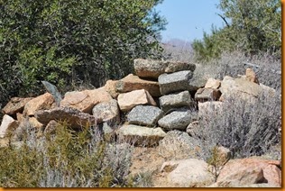 IMG_1819