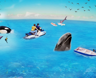Killer Orca Whale Simulator 3D