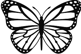 Butterflies Photos