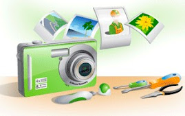 Download Digital Photo Recovery for Windows