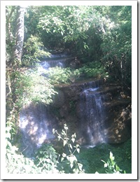 IMG_20110130_095001